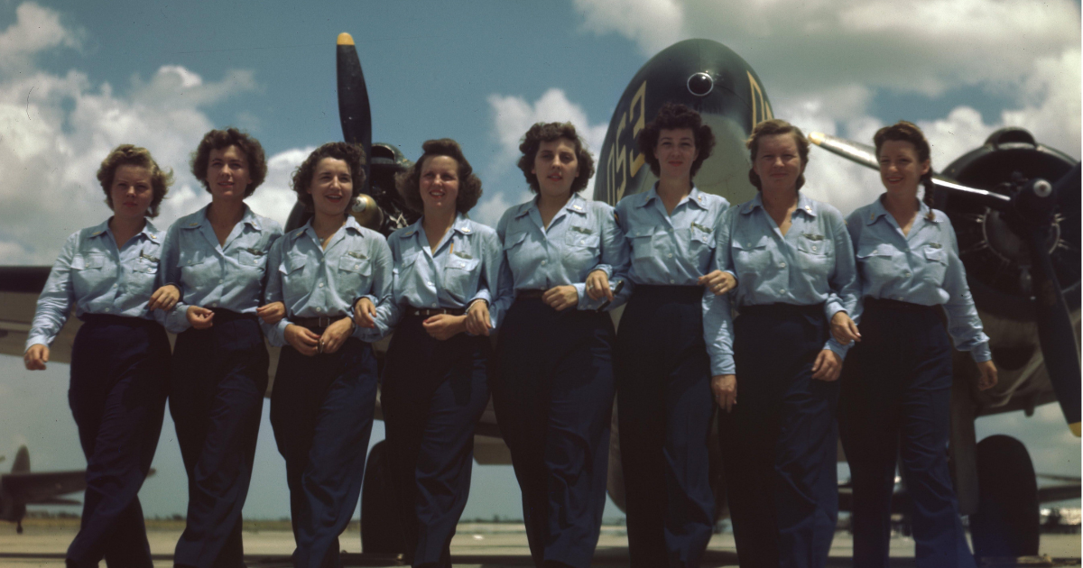 Wasps store womens airforce